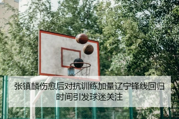 张镇麟伤愈后对抗训练加量辽宁锋线回归时间引发球迷关注