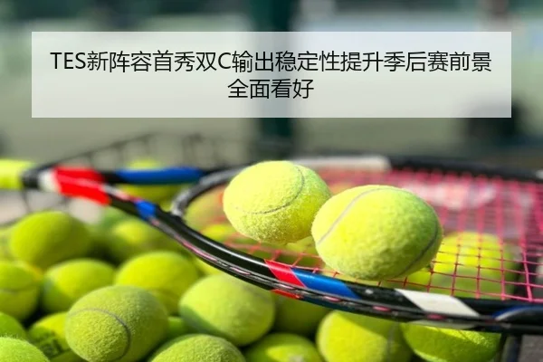 TES新阵容首秀双C输出稳定性提升季后赛前景全面看好