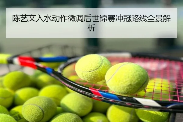 陈艺文入水动作微调后世锦赛冲冠路线全景解析